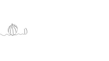 Animated illustration for Thanksgiving Day. Continuous One Line. Hand-drawn minimalist style. 4K video.