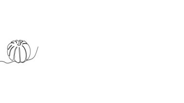 Animated illustration for Thanksgiving Day. Continuous One Line. Hand-drawn minimalist style. 4K video.