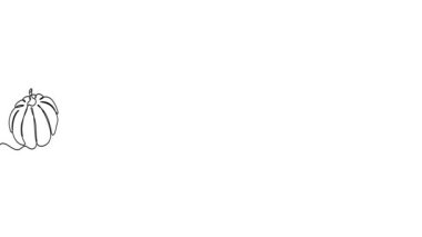 Animated illustration for Thanksgiving Day. Continuous One Line. Hand-drawn minimalist style. 4K video.