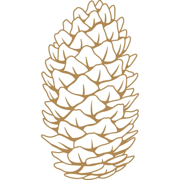 Pine Cone Gouden Schets Gravure Handgetekende Illustratie Geïsoleerde Xmas Pineconen — Stockvector