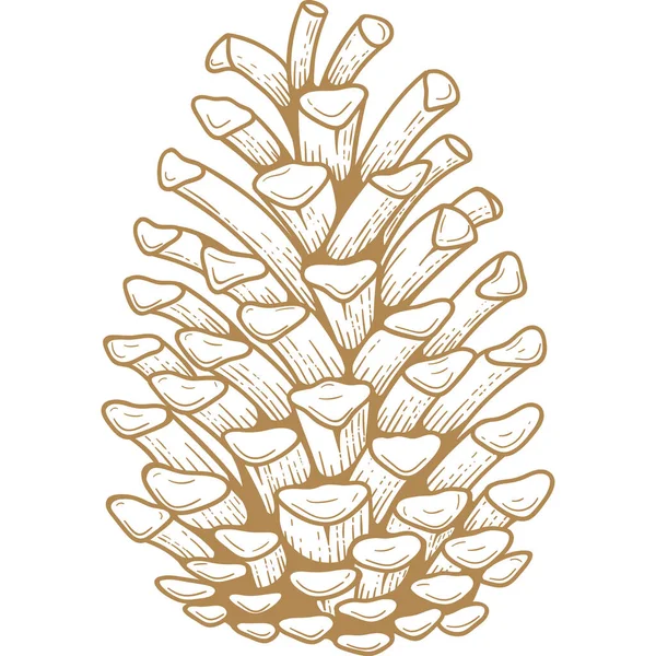 Kupferstich Mit Goldenem Kiefernzapfen Handgezeichnete Illustration Vereinzelte Weihnachtszapfen — Stockvektor