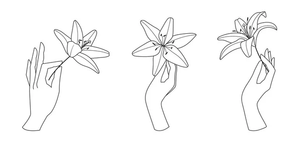 Лили Цветы Руки Логотип Линии Минимальный Стиль Дизайн Поздравительной Открытки — стоковый вектор
