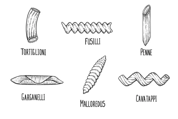 Bozzetto Pasta Doodle Contorno Bianco Nero Stile Vintage Maccheroni Illustrazione — Vettoriale Stock