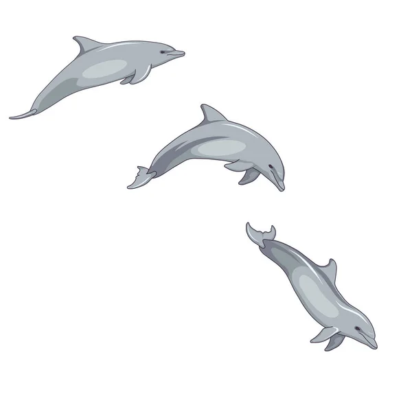 卡通设计风格中瓶鼻海豚跳跃的动态 灰色大洋海豚跳跃在白色孤立背景上的步骤 用于印刷 社交媒体图标 应用程序和网站 — 图库矢量图片
