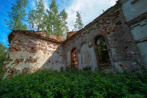 旧廃墟の建物の一部はロシアの正教会を放棄した 窓のバーだ 木や草で生い茂る 白樺やイラクサ 赤レンガで作られた白い壁 — ストック写真