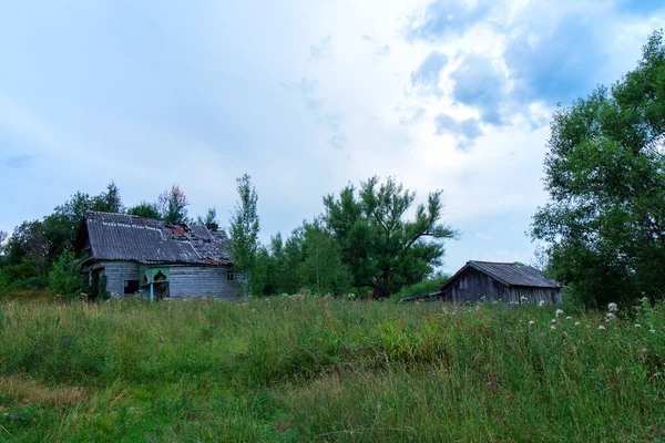 Opuszczony Drewniany Dom Stodołą Porośniętą Trawą Zniszczony Dach Domu Tle — Zdjęcie stockowe