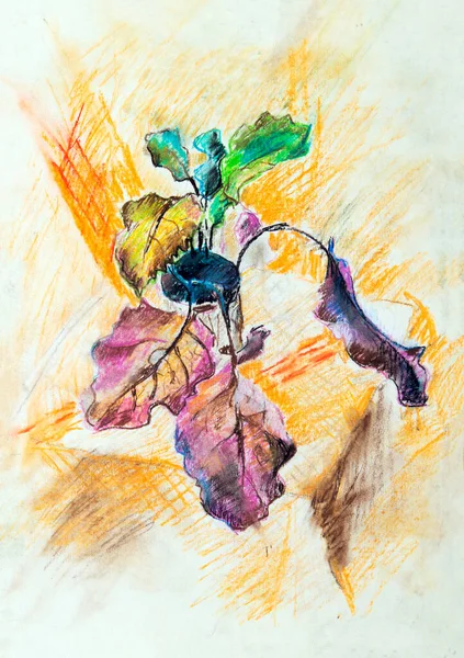 Drawing with crayons of a plant with large leaves of different colors in a yellow environment. A potted plant. Autumn. On paper. A sketch.