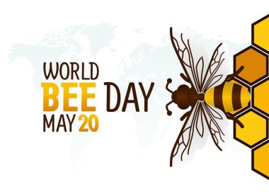  Dünya Arı Günü 'nün vektör grafiği dünya arı günü kutlaması için iyi. düz dizayn. İlan tasarımı. Düz illüstrasyon.