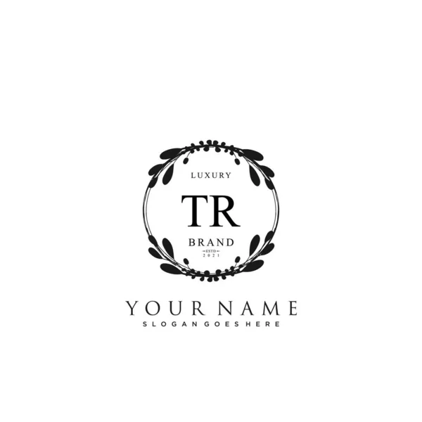 Initial Beauty Monogram Elegant Logo Design Handwriting Logo Initial Signature — Stock Vector