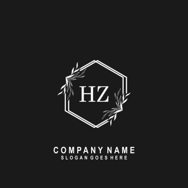 İlk harf HZ İmza El yazısı Logo Vektörü