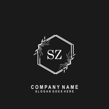 İlk harf SZ İmza El yazısı Logo Vektörü