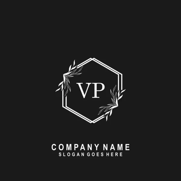 Carta Inicial Firma Caligrafía Logotipo Vector — Vector de stock