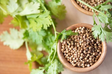 Tahta bir kaptaki kişniş tohumları kopyalama alanı