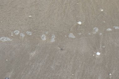 Yaz sahili deniz kum dokusu.