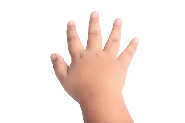 Asian Fat Boy Hand White Background — Stock Photo, Image