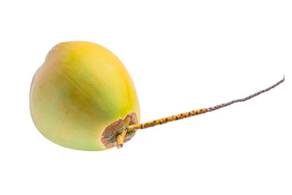 Frische Kokosnüsse Auf Weißem Hintergrund — Stockfoto