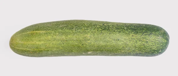 Fresh Cucumber White Background Isolated — Stockfoto