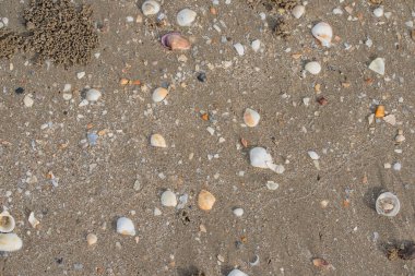 Yaz sahili deniz kum dokusu.