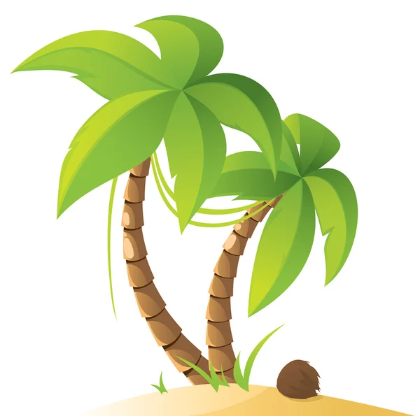 Palm trees — Stock Vector