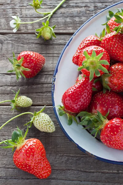 Fresas en tazón de esmalte — Foto de Stock