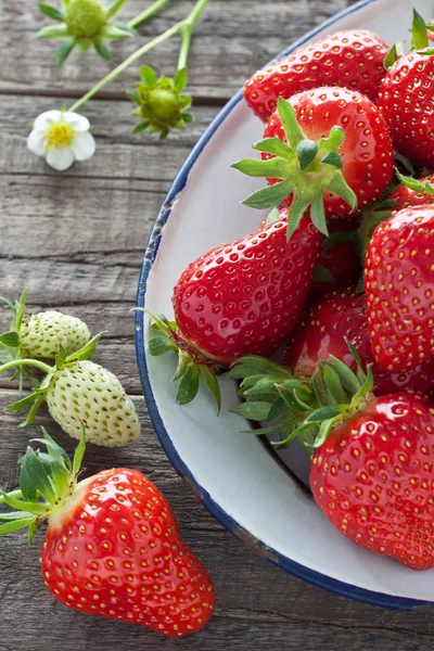 Fresas en tazón de esmalte — Foto de Stock