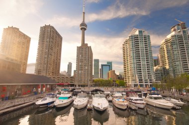 Harbourfront Downtown toronto