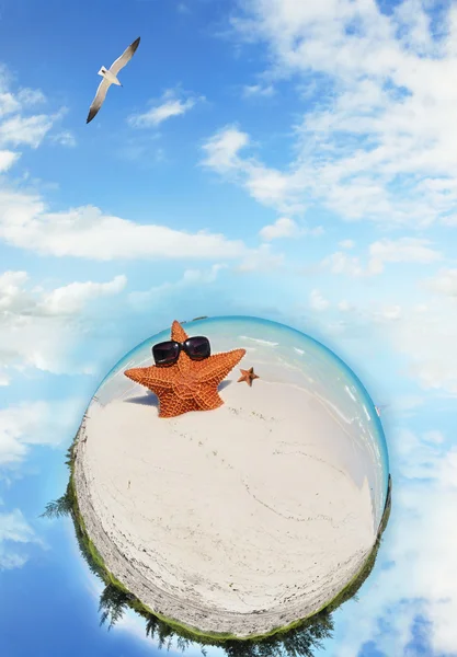 ヒトデと熱帯のビーチのミクロの世界 — ストック写真