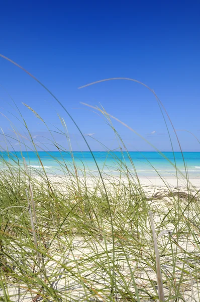 Playa tropical — Foto de Stock