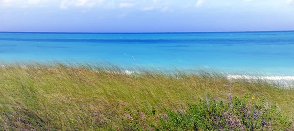 Tropické moře a zelené trávy — Stock fotografie