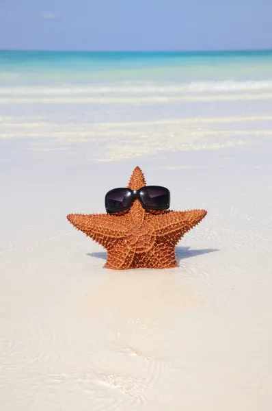 Funny starfish with sunglasses — Stock Photo, Image