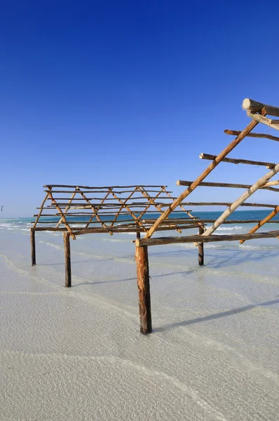 Tropisch strand detail — Stockfoto