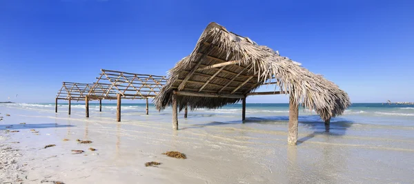 Panorama van tropisch strand in cuba — Stockfoto