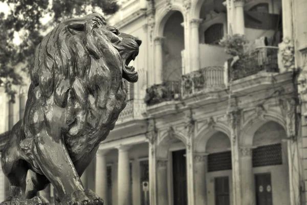 Havana budynków i lew — Zdjęcie stockowe