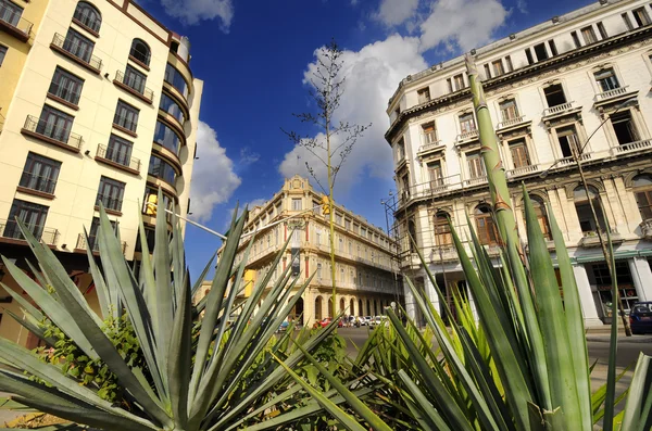 Paisaje urbano habanero con histórico Hotel Plaza, cuba. Enero de 2010 Imágenes de stock libres de derechos
