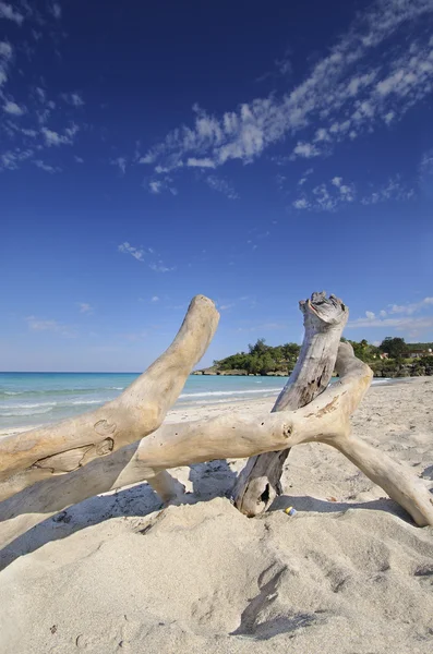 Jibacoa beach, Kuba — Zdjęcie stockowe