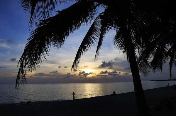 Plage tropicale au coucher du soleil — Photo