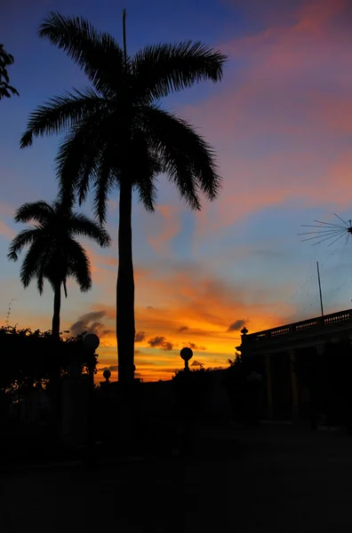 熱帯日没のヤシの木、キューバ — ストック写真