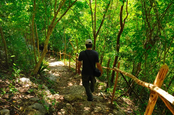 Чоловік ходить по стежці лісу — стокове фото
