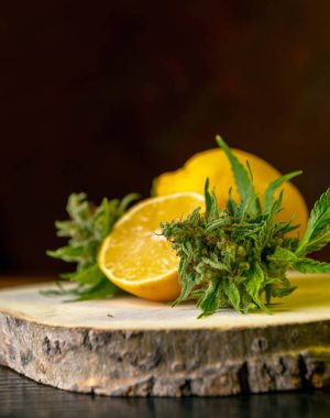 Taze kenevir tomurcukları ve limonlar, esrar pişirme konsepti