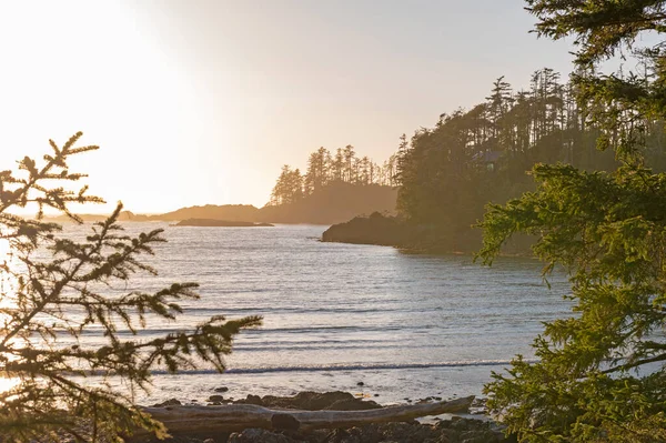 Melihat Garis Pantai Jalur Pasifik Liar Ucluelet Pulau Vancouver Saat — Stok Foto