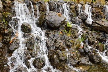 Islak taşların üzerinden akan nehirler. Tüm çerçeve için arkaplan.