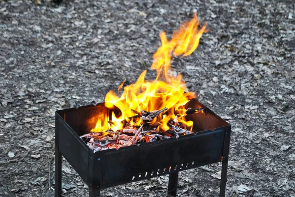 Brillante Fuego Una Parrilla Leña Hierro Quema Campamento Forestal Para —  Fotos de Stock