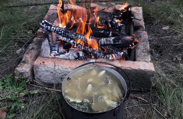 Sopa Peixe Cozida Sobre Uma Fogueira Cozida Uma Panela Grande — Fotografia de Stock