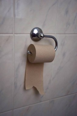 Seramik fayanslı hijyenik oda duvarında demir dekoratif tutacakta tuvalet kağıdı rulosu yapmaya başladım.