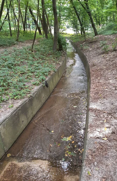 Drainage System Forest Drain Rainwater Stream Flows Bottom — Fotografia de Stock