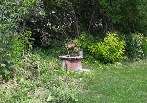 Floresta Velho Poço Abandonado Com Balde Água Torno Dos Moitas — Fotografia de Stock