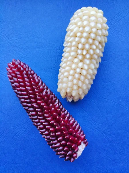 蓝色背景下两种不同颜色和品种爆米花的玉米芯 — 图库照片