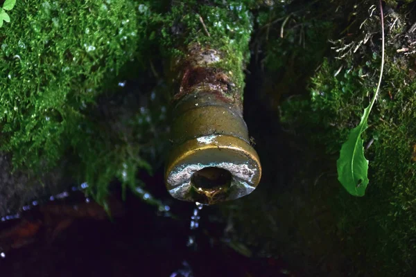 Pipa Dari Sumber Dengan Air Tawar Bersih Protrudes Dari Lumut — Stok Foto