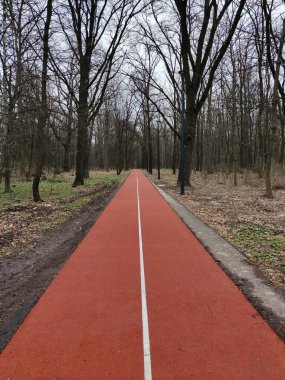 Issız bir parkta yaprakları olmayan uzun ve geri çekilen bir perspektifte düz bir yol.