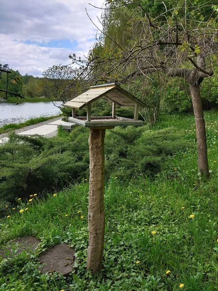 Bird food feeder on a wooden post stands in a public park — Photo